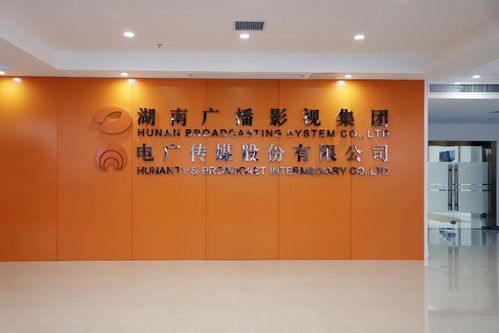 電廣傳媒上半年凈利潤4.71億創紀錄，藝術策劃與內容生態協同發展成亮點