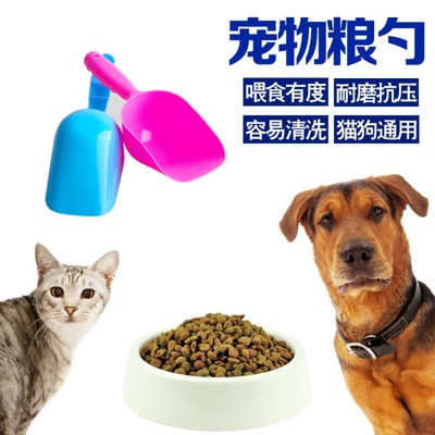 寵物糧鏟選購指南 從使用到清潔，一次性說清楚