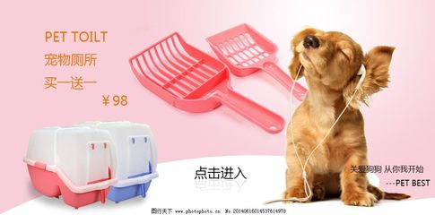 寵物廁所海報設計指南與實用模板素材