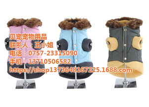 海口貝寵寵物用品大狗衣服定制 專業設計與高清預覽指南