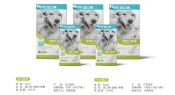 寵物用品行業(yè)新寵 iBone迅速躥紅的秘訣